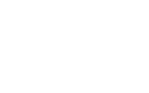 Logo Rodapé Sul